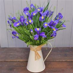 Iris