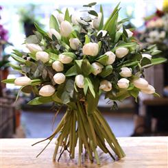 Purity Tulips
