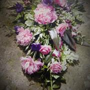 Pink Peony