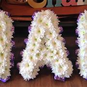 Nan Tribute